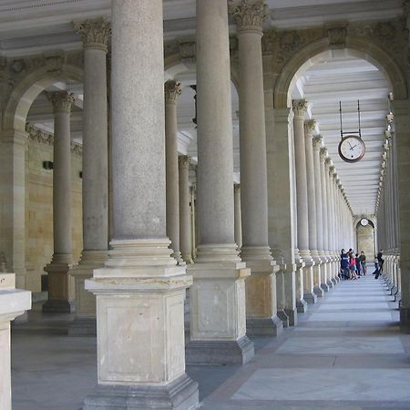 Villa Rosa Karlovy Vary Bagian luar foto